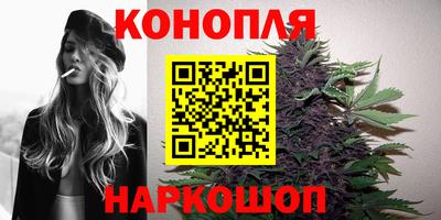 mdpv Вышний Волочёк