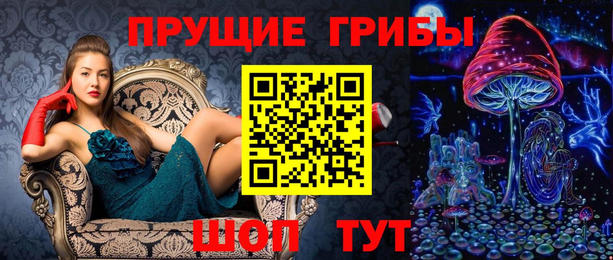 Владикавказ  Псилоцибиновые грибы ЛСД  Вход с VPN 
