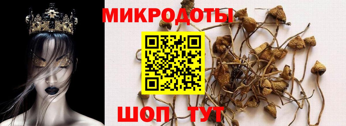 LSD-25  Вход с VPN  ГАШИШ  Владикавказ  Меф МЯУ МЯУ  МЕФ  